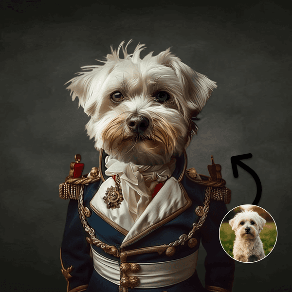 Admiraal in uniform