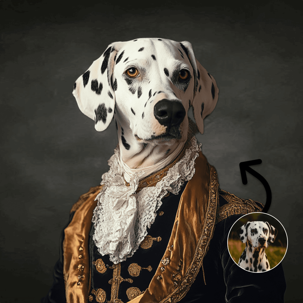 Baron in ceremonieel tenue